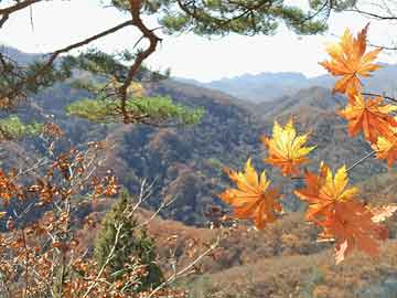 谷歌實(shí)時(shí)翻譯擴(kuò)展程序，科技重塑語言世界，歷史上的 12 月 13 日升級(jí)里程碑事件