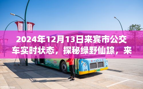 探秘綠野仙蹤，來賓市公交之旅的心靈覺醒與實(shí)時(shí)狀態(tài)（2024年12月13日）