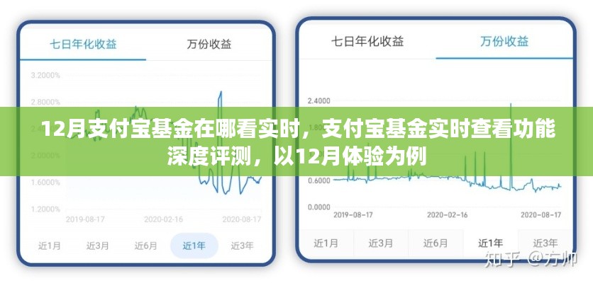 支付寶基金實時查看功能深度評測，以12月體驗為例，實時掌握基金動態(tài)