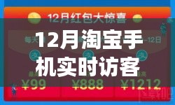 深度解讀，淘寶十二月手機實時訪客數(shù)據(jù)分析與策略應用——我的觀點分享