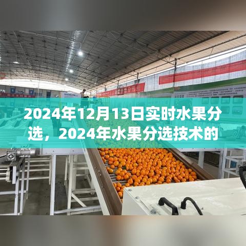 2024年水果分選技術(shù)革新之旅，實(shí)時(shí)分選進(jìn)展與影響