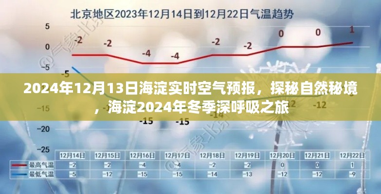 海淀冬季深呼吸之旅，揭秘自然秘境與實時空氣預(yù)報（2024年冬季版）