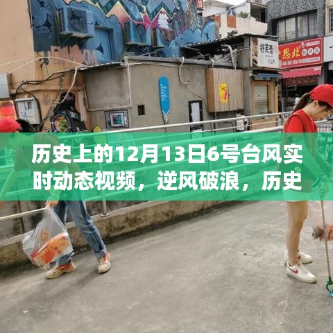 歷史上的臺風(fēng)動(dòng)態(tài)回顧，逆風(fēng)破浪的歷程與我們的成長之路