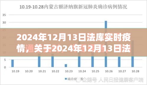關于法庫縣實時疫情動態(tài)，全面評測與介紹（日期，2024年12月13日）