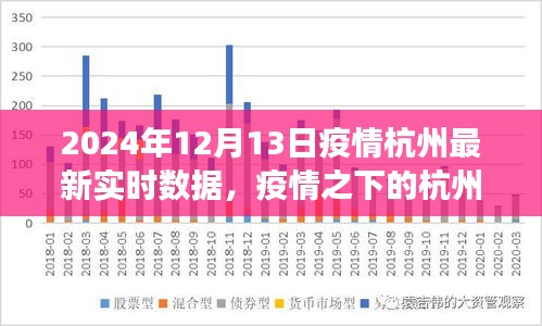 2024年12月13日杭州疫情實(shí)時數(shù)據(jù)解讀，疫情之下的杭州觀察