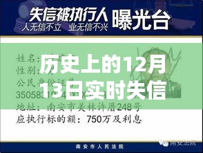 12月13日失信執(zhí)行人實(shí)時查詢指南，歷史查詢詳解與初學(xué)者指引