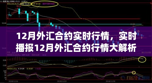 洞悉市場(chǎng)走勢(shì)，揭秘12月外匯合約實(shí)時(shí)行情與投資機(jī)遇