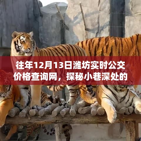 探秘小巷深處的公交情緣，濰坊實(shí)時(shí)公交價(jià)格查詢網(wǎng)故事