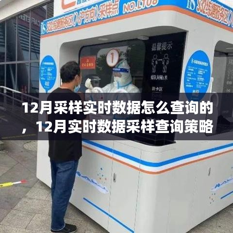 12月實時數(shù)據(jù)采樣與查詢策略解析，多方觀點探討及個人立場