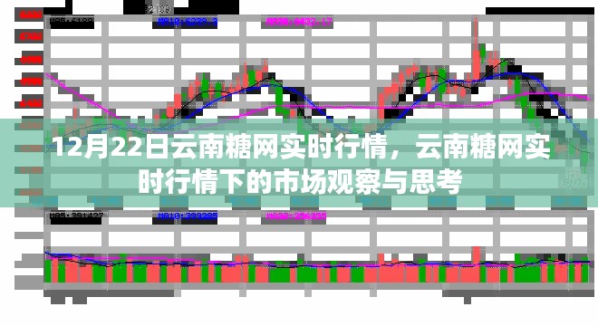 12月22日云南糖網(wǎng)實(shí)時(shí)行情深度解析，市場(chǎng)觀察與思考