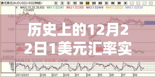 揭秘歷史上的12月22日美元匯率走勢(shì)，洞悉貨幣價(jià)值波動(dòng)實(shí)時(shí)數(shù)據(jù)