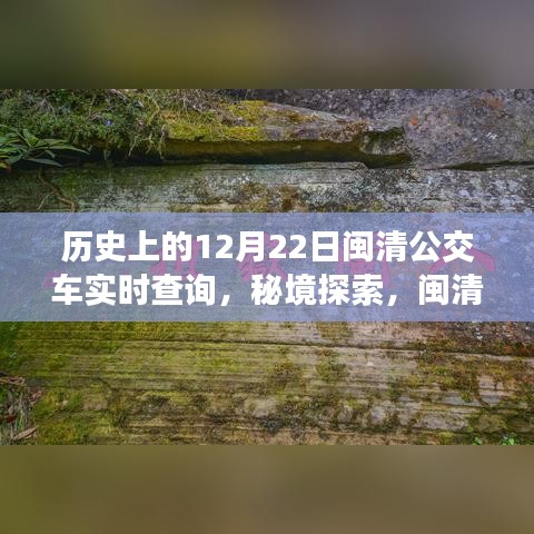 閩清公交時光機，歷史12月22日的公交美食秘境探索之旅