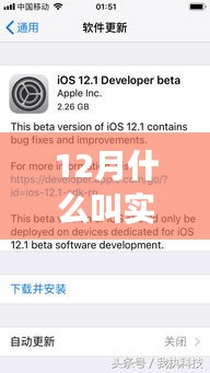揭秘實(shí)時生成文件，重塑未來辦公體驗(yàn)的科技前沿新功能，揭秘十二月新功能亮點(diǎn)