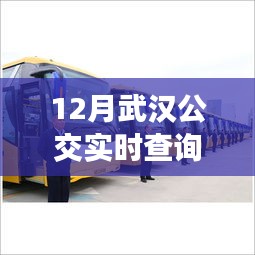 武漢公交326與自然美景之旅，寧?kù)o與喜悅的探尋