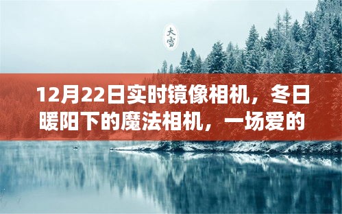 冬日暖陽下的魔法相機，12月22日實時鏡像之旅