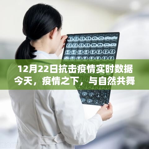疫情下的心靈之旅，與自然共舞，尋找內心的平靜與力量（實時數(shù)據更新）