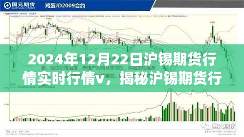 揭秘滬錫期貨行情，深度解讀實時走勢與市場機遇挑戰(zhàn)（2024年12月22日）