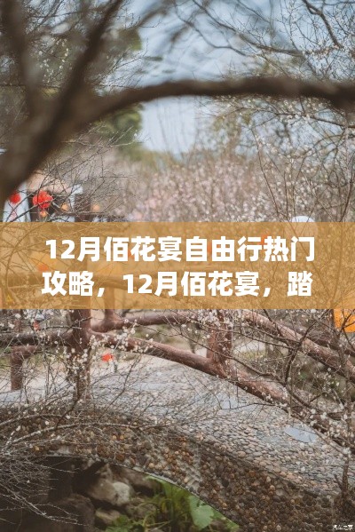 12月佰花宴踏雪尋梅之旅，熱門自由行攻略，赴一場(chǎng)心靈盛宴