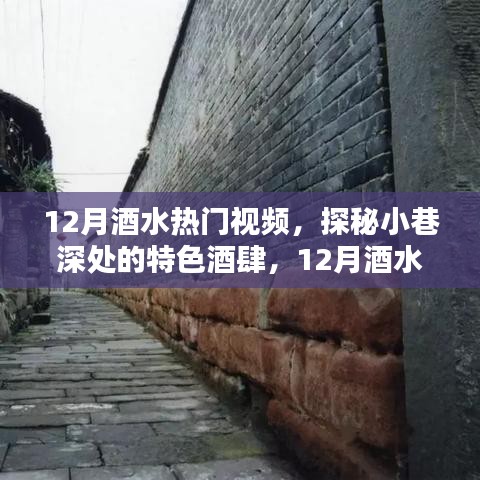 探秘小巷深處的特色酒肆，獨(dú)家揭秘十二月酒水熱門視頻