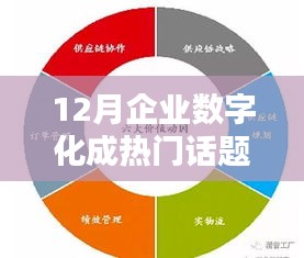 熱門話題聚焦，企業(yè)數(shù)字化全面評測與介紹