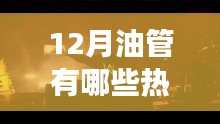 12月油管熱門歌曲，心靈之旅探尋自然美景的激情與寧靜