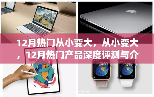 12月熱門(mén)產(chǎn)品深度評(píng)測(cè)與介紹，從小變大，全面解析