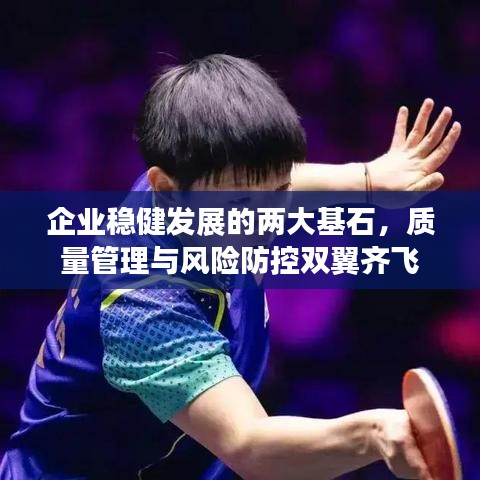 企業(yè)穩(wěn)健發(fā)展的兩大基石，質(zhì)量管理與風險防控雙翼齊飛