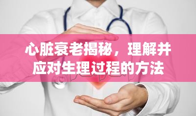 心臟衰老揭秘，理解并應(yīng)對(duì)生理過(guò)程的方法