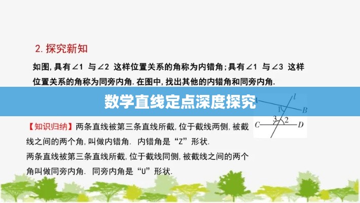明目張膽 第2頁(yè)