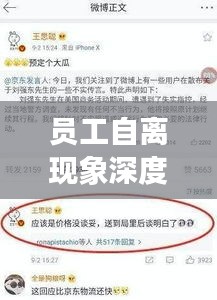 員工自離現(xiàn)象深度解析，原因、影響與解決之道