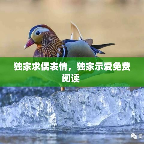 天羅地網(wǎng) 第2頁
