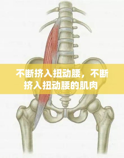 不斷擠入扭動腰，不斷擠入扭動腰的肌肉 