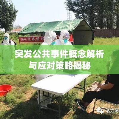 草率從事 第2頁