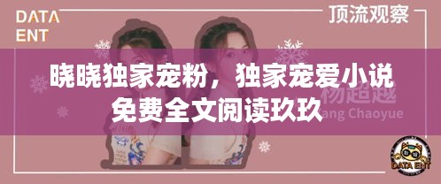曉曉獨(dú)家寵粉，獨(dú)家寵愛小說免費(fèi)全文閱讀玖玖 