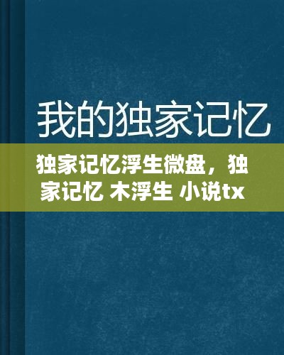 獨(dú)家記憶浮生微盤，獨(dú)家記憶 木浮生 小說txt 
