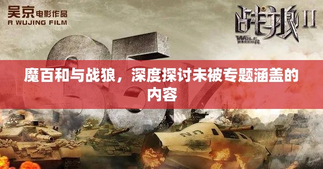 魔百和與戰(zhàn)狼，深度探討未被專題涵蓋的內(nèi)容