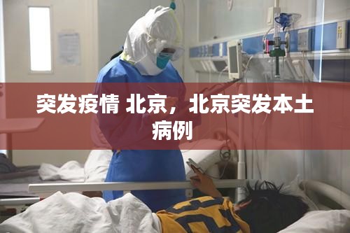 飛揚(yáng)跋扈 第2頁(yè)