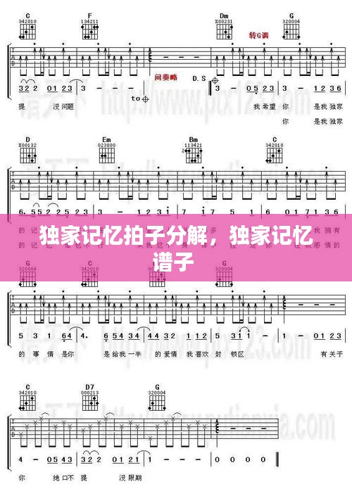 獨家記憶拍子分解，獨家記憶譜子 