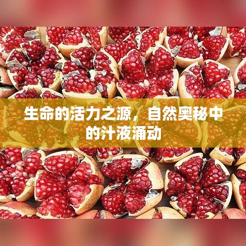 生命的活力之源，自然奧秘中的汁液涌動(dòng)