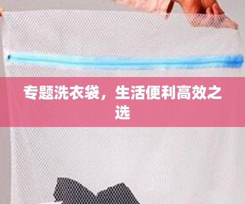 專題洗衣袋，生活便利高效之選