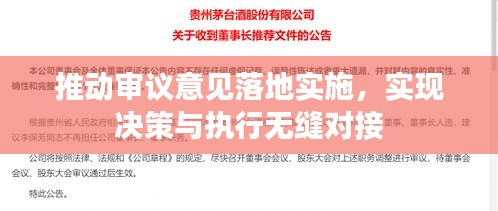 推動(dòng)審議意見(jiàn)落地實(shí)施，實(shí)現(xiàn)決策與執(zhí)行無(wú)縫對(duì)接