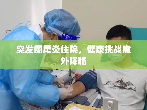 拾金不昧 第2頁