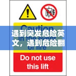 遇到突發(fā)危險(xiǎn)英文，遇到危險(xiǎn)翻譯 