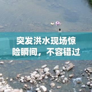 突發(fā)洪水現(xiàn)場驚險瞬間，不容錯過！