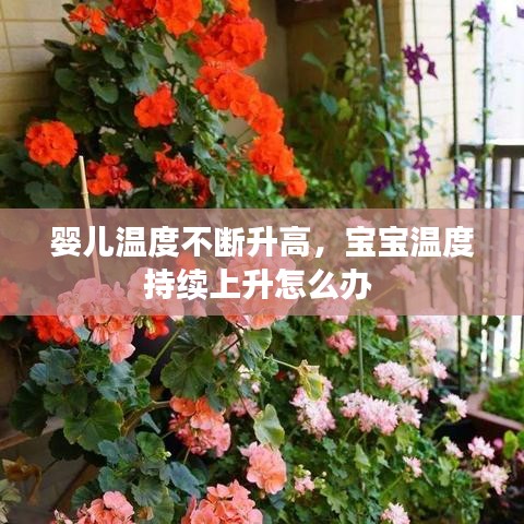 嬰兒溫度不斷升高，寶寶溫度持續(xù)上升怎么辦 