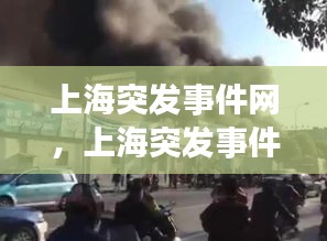 上海突發(fā)事件網(wǎng)，上海突發(fā)事件兇殺案 