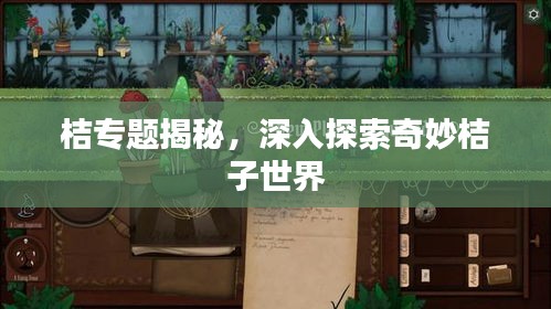 桔專(zhuān)題揭秘，深入探索奇妙桔子世界