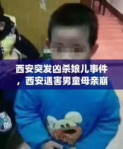 西安突發(fā)兇殺娘兒事件，西安遇害男童母親崩潰 