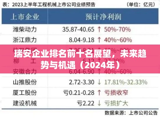 瑞安企業(yè)排名前十名展望，未來趨勢與機遇（2024年）