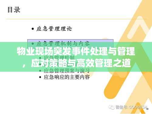 物業(yè)現(xiàn)場突發(fā)事件處理與管理，應(yīng)對策略與高效管理之道